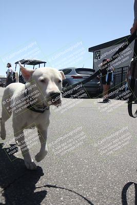 media/Apr-26-2025-BRL Bagger Racing League (Sat) [[9e270f465f]]/6-Liquid and Air Cooled Twins Race/